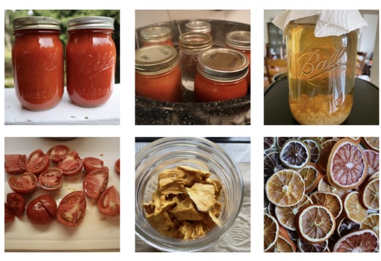 Conserving While Preserving: Low Energy Food Preservation Techniques